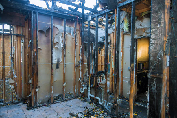 Professional Structural Rebuild technician working in Ellicott City, MD